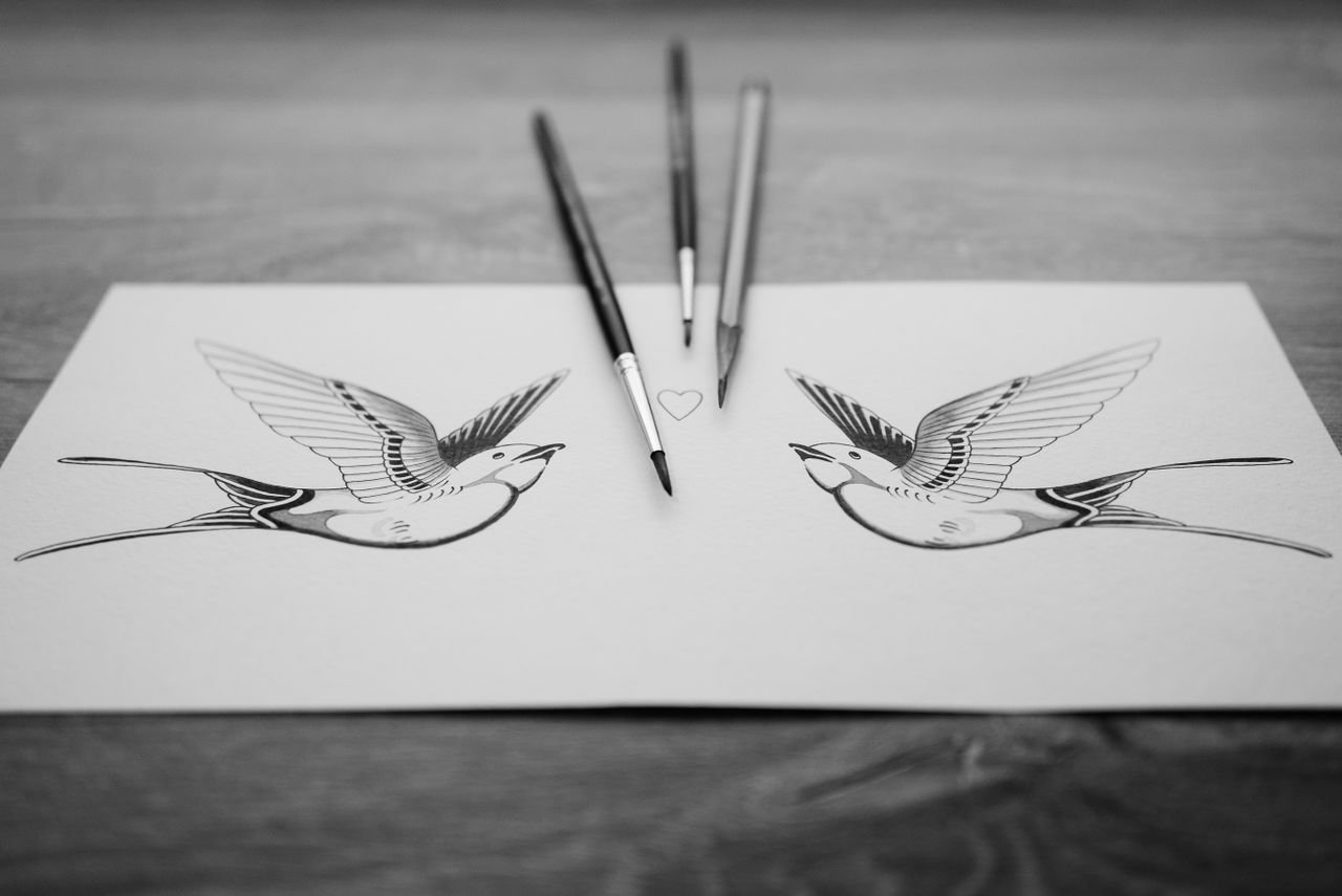 Tatouage colombe